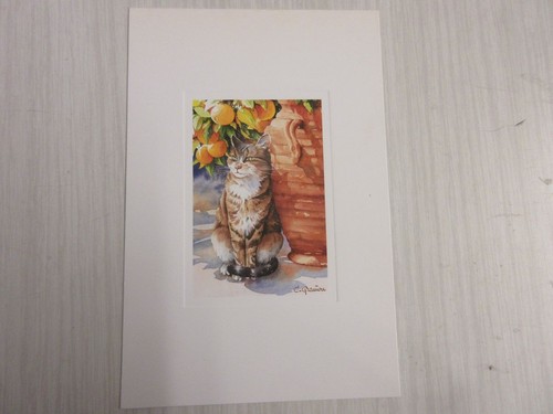 Chaton Jouant avec une abeille. - Carte postale ancienne et vue d'Hier