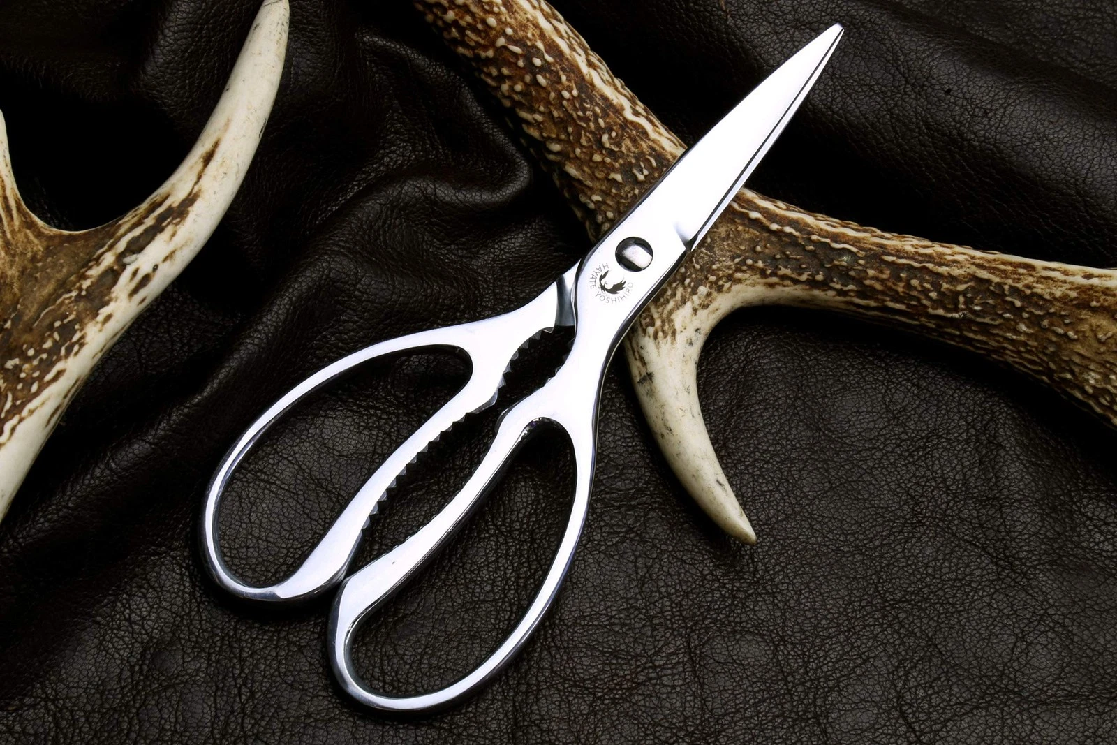 Yoshihiro Kitchen Shears - Thumbnail 5