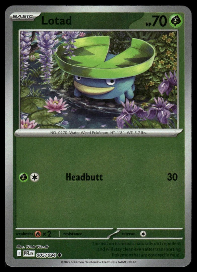 Lotad ME02: Phantasmal Flames #005/094 Reverse Holo NM