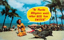 Beach Beauty Bikini Blonde Alligator Bite Than Switch Florida Vtg Postcard CP393