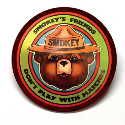 Smokey Bear Friends Don't Play With Matches Fridge Magnet BUY 3 GET 4 FREE