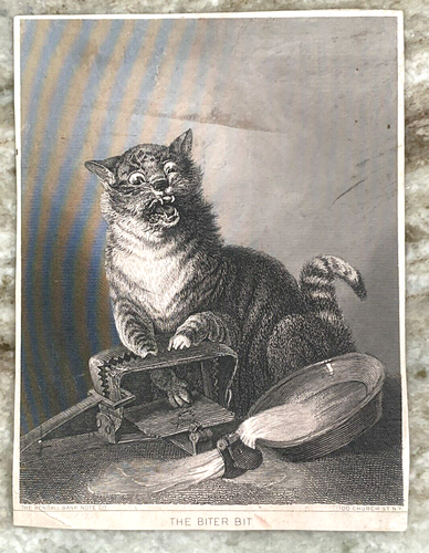 The Biter Bit Cat Trap Fireman's Banquet 1881 Kalamazoo Michigan Trade Card