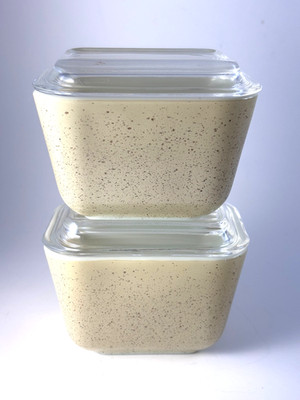 2 Pyrex Homestead Small Refrigerator Dishes 501-B C with Lids Beige Speckle