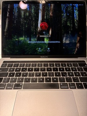 Apple MacBook Pro 13'' (2018) Core i5 2,3GHz 8GB Iris 655 macOS 15 Grau
