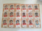 Foto 4 di 13