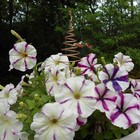 Bild 5 von 13