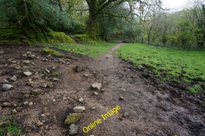 Photo 6x4 Start of the path to Didworthy Just after Shipley Bridge. c2014