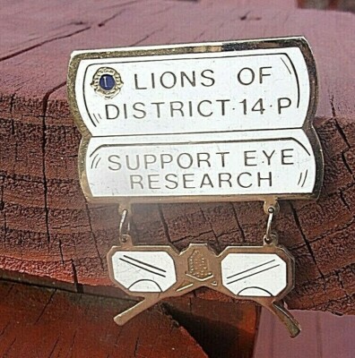 Lions Club Pin - Support Eye Research - Lions of District 14-P 