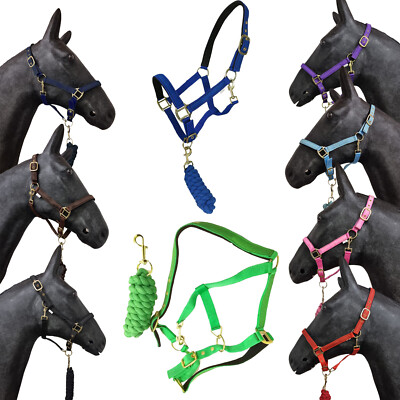 Horse Masters Best On Horse Equestrian Padded Adjustable Plain Headcollar Leine