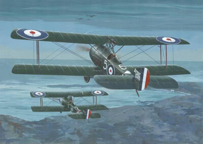 Roden 637 Sopwith 1 1/2 Strutter Comic Fighter 1/32 scale model kit