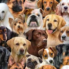 Elizabeths Studio - Dog Breeds - Packed Dogs - Black - 1312E-BLK, Fabric BTY