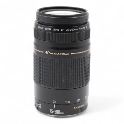 CANON ZOOM LENS EF 75-300mm 1:4-5.6 Ⅱ 【公式通販】