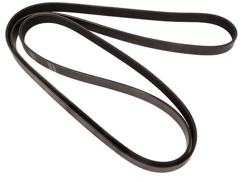 Multi Rib Belt 11CMYN74 for Express 2500 3500 2017 2018 2019 2020 2021 2022