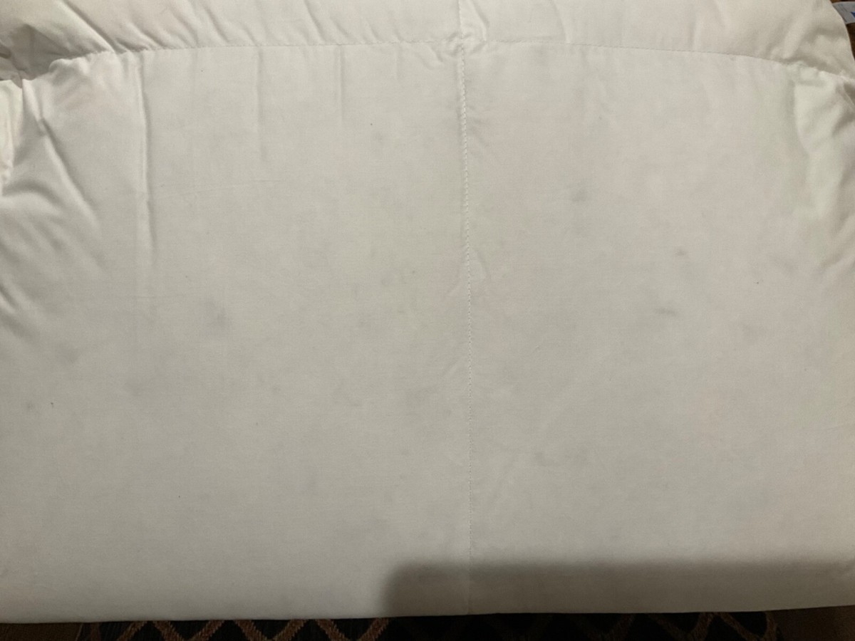 nestwell white down king comforter