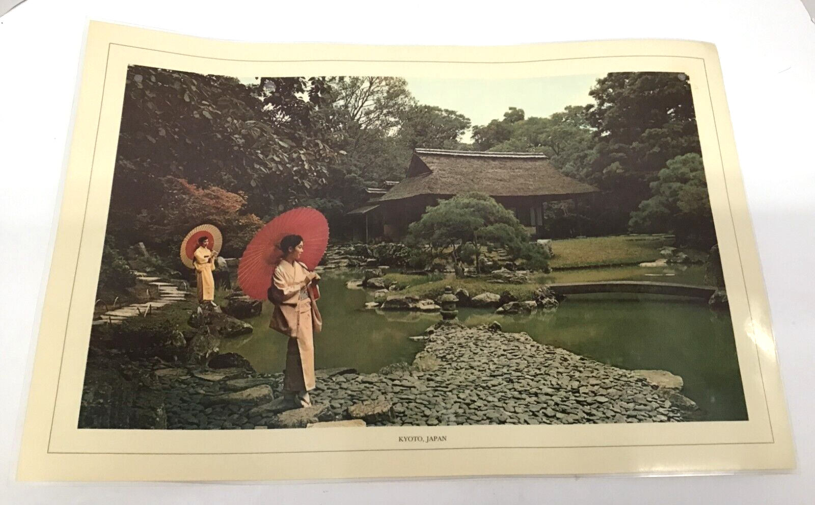 Picture 6 of 12