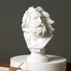 Foto 11 di 12