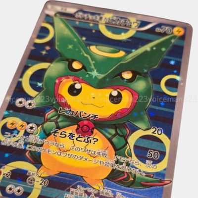 羅本製所　POH COPIAPA 羅本製所 Copiapoa Twin Star 抽選限定品 新品未開封 - メルカリ