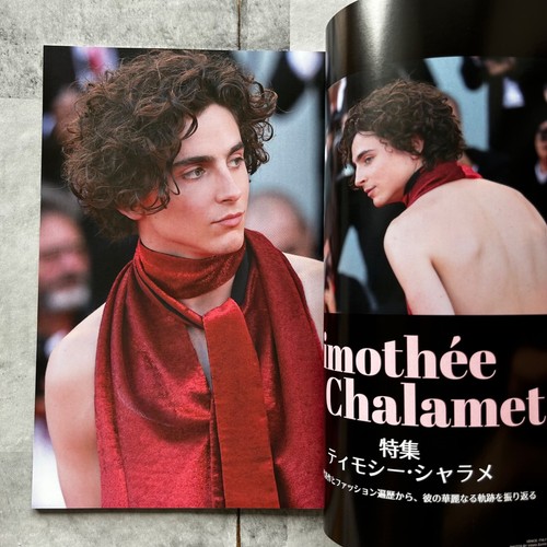 MOVIE STAR magazine Feb 2024 Timothee Chalamet Japanese Movie magazine Japan - Picture 5 of 8