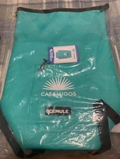 ICEMULE Jaunt Casamigos Large 15L Backpack Portable Cooler Waterproof Teal