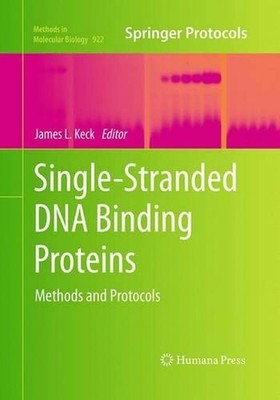 Single-Stranded DNA Binding Proteins: Methods and Protocols by James L. Keck (En