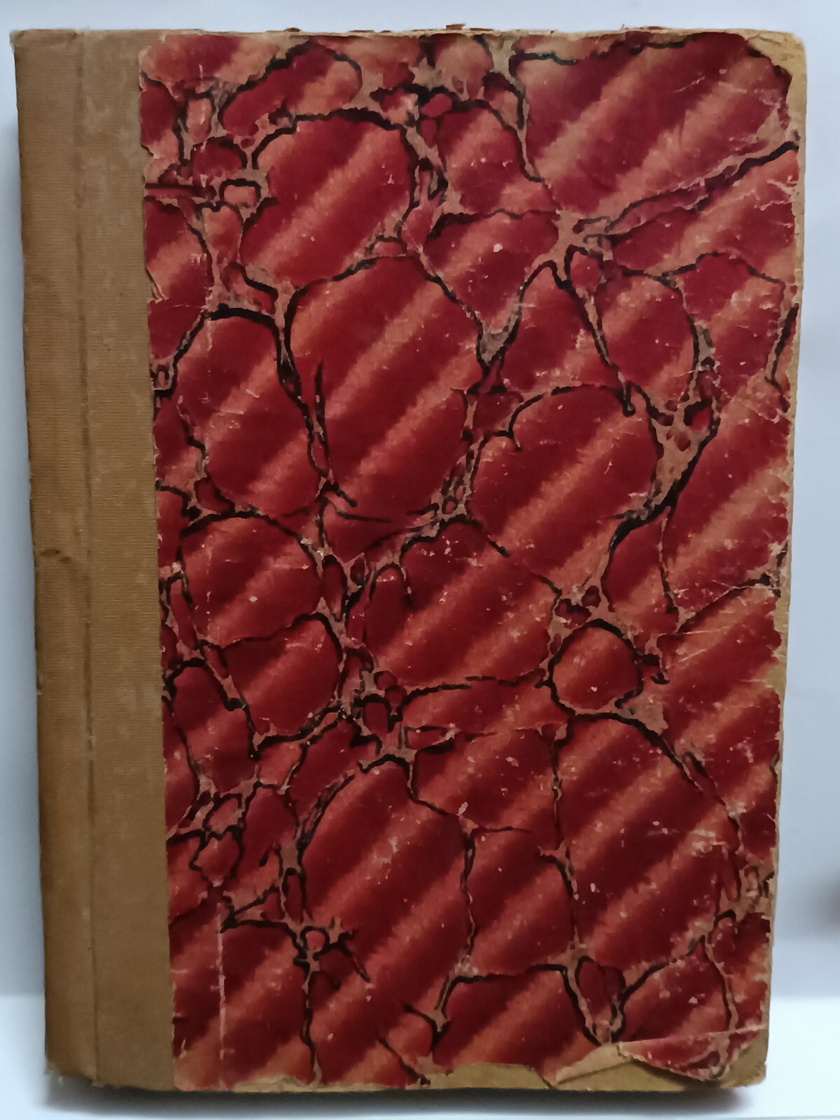 Picture 20 of 20
