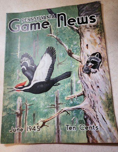 9 VINTAGE 1945 PENNSYLVANIA GAME NEWS MAGAZINES: 1, 2, 3, 6, 7, 8, 9, 10, 11! - Picture 8 of 19