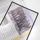 Bild 11 von 12