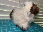Webkinz Himalayan Brown Tan Himalaya Cat Plush Toy Stuffed Animal Ganz *No code!