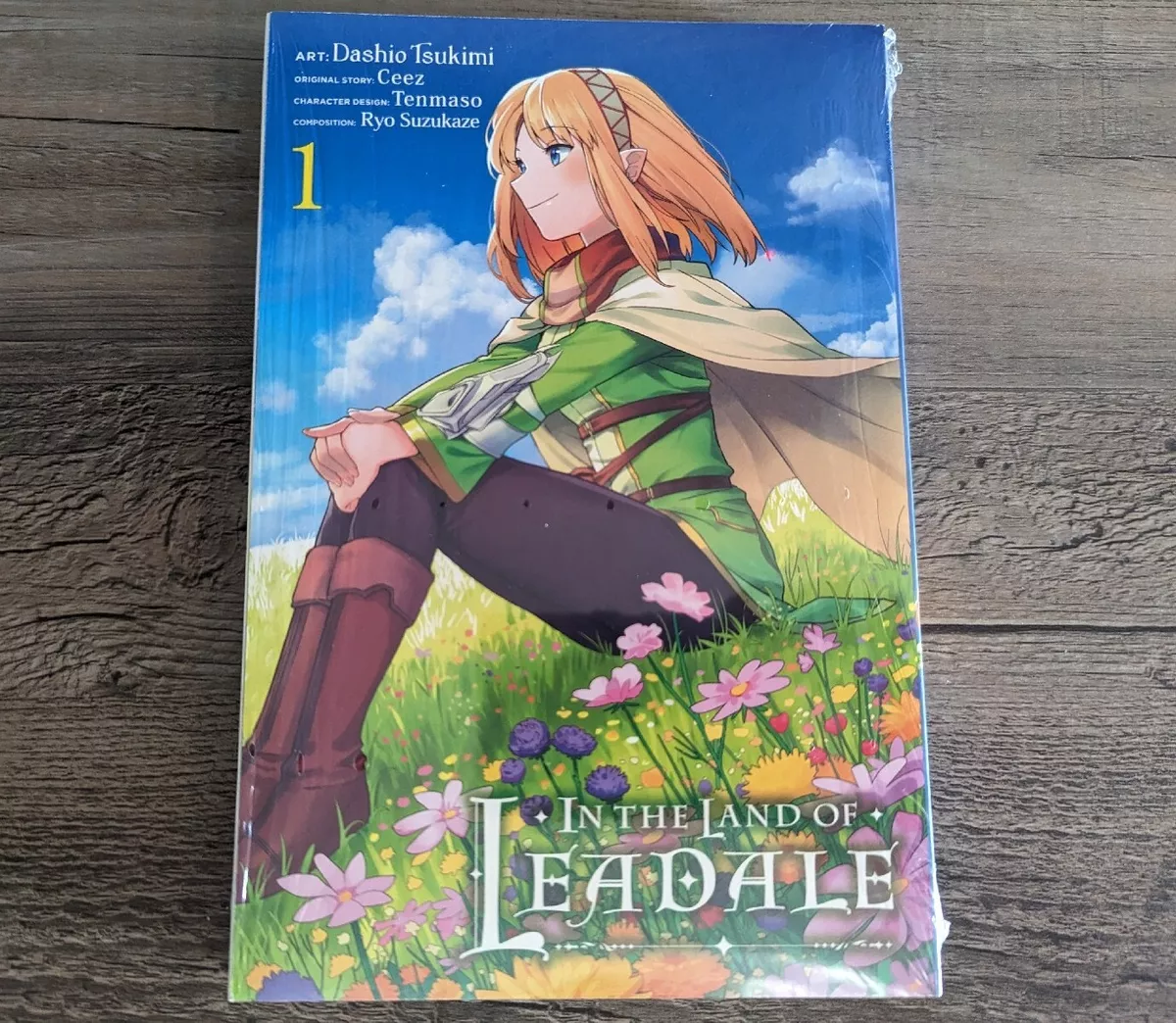 In the Land of Leadale, Vol. 6 (light novel), Novel