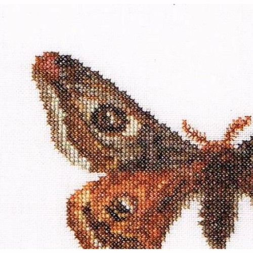 Kreuzstich Packung Schmetterling Von Mitternacht- Des 562 thea gouverneur Leinen - Picture 3 of 6
