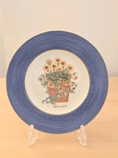 Wedgwood Sarah's Garden Blue Border Tagetes Patula 21 cm Beilagenteller - 1. Qualit&auml;t