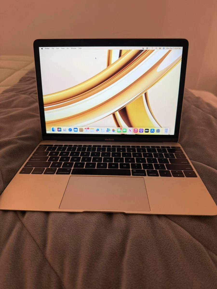 Pink 2017 Release Year Apple Laptops for sale | eBay