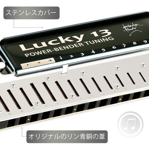 East top Harmonica Blues Harmonica 13 Hole C Key Jazz Professional Adults Childr - Picture 5 of 6