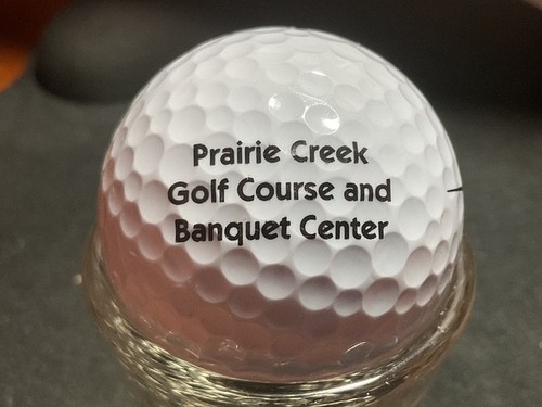 MICHIGAN P Q GOLFPLATZ: LOGOBÄLLE - Bild 61 von 64