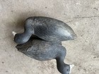 Picture 5 of 5