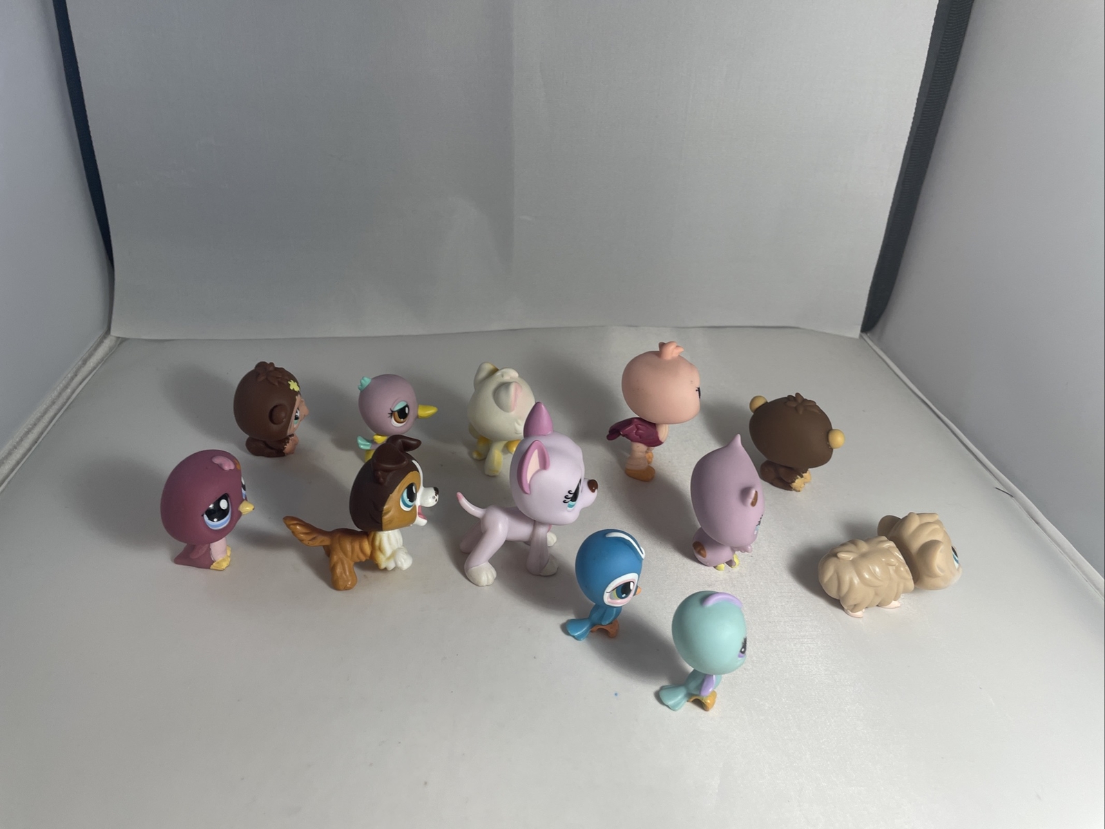 Picture 20 of 22