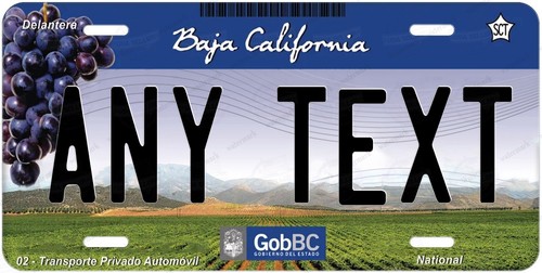 Mexico Any State Customized License Plate Novelty Auto Car ATV Bike Moped Gift - Picture 14 of 73