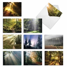 10 Assorted All Occasion Blank Note Cards - SHINING THROUGH M1735BN