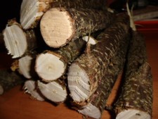 Holz, Haselnuss, 3-5 cm, 1500 g, Aststücke, Bastelholz, Floristik, Basteln