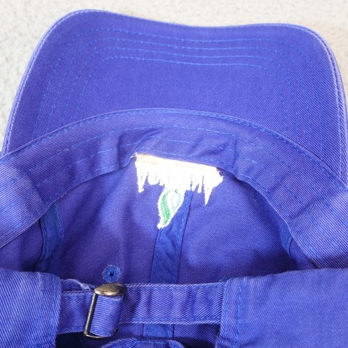 Sombrero Aquafina Essentials Para Hombre Talla Única Azul Correa Gorra Uniforme Bordado - Imagen 8 de 9