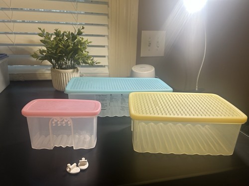 Tupperware FridgeSmart kleine mittlere und große Behälter mit Pastelldeckel! - Bild 1 von 5