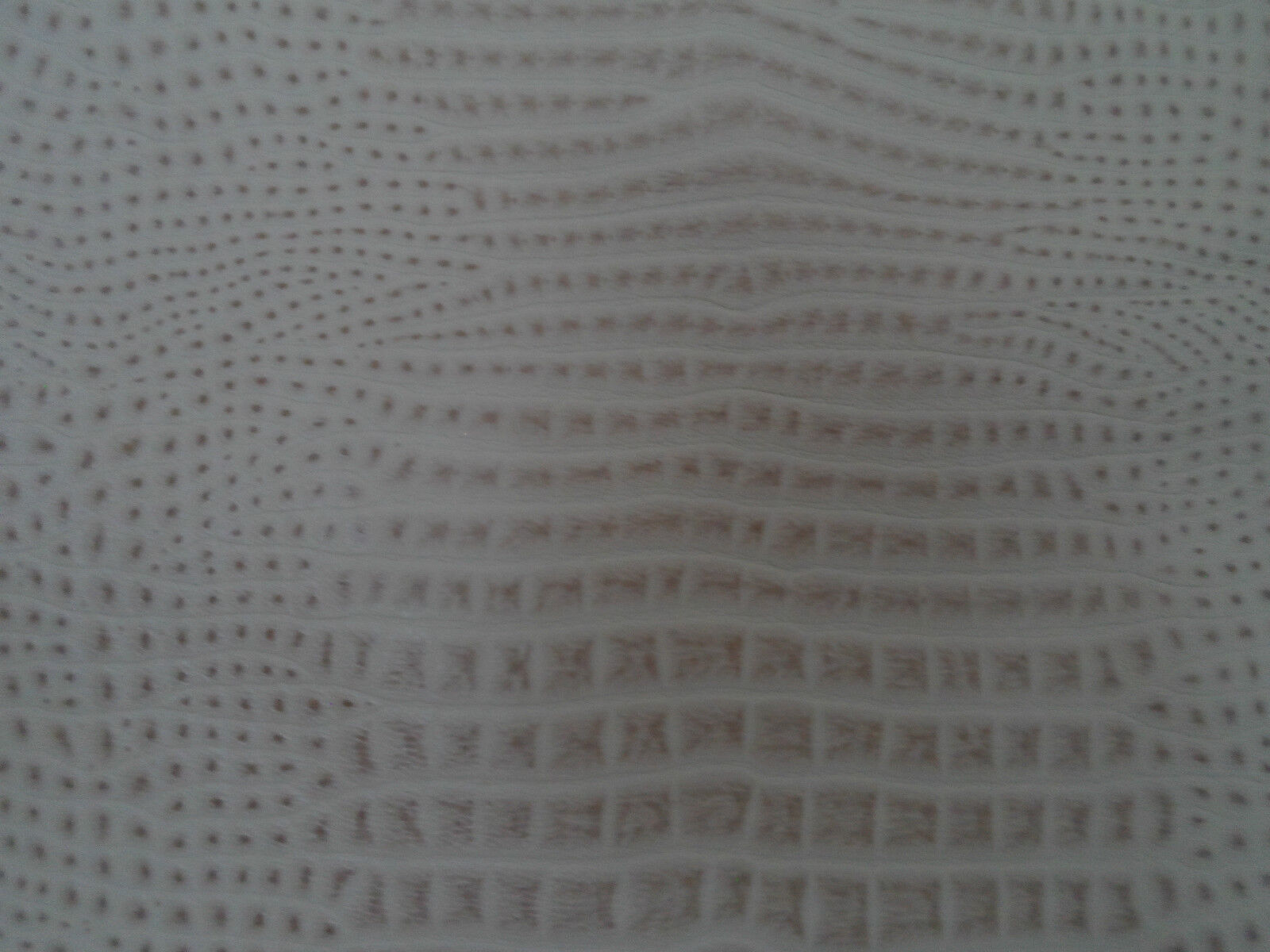 Foto 5 di 5