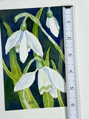 Roberta Larson Original Watercolor Painting Snowdrops 7x6” Signed Flower - Picture 8 of 9