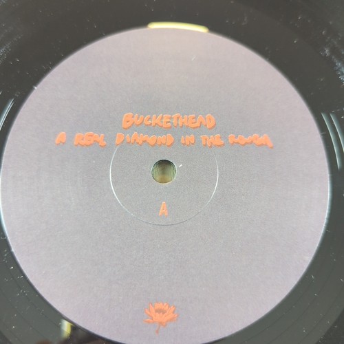 BUCKETHEAD ein echter Diamant im Rohzustand. Stan Diamond gewidmet. SELTENES VINYL. - Bild 18 von 20