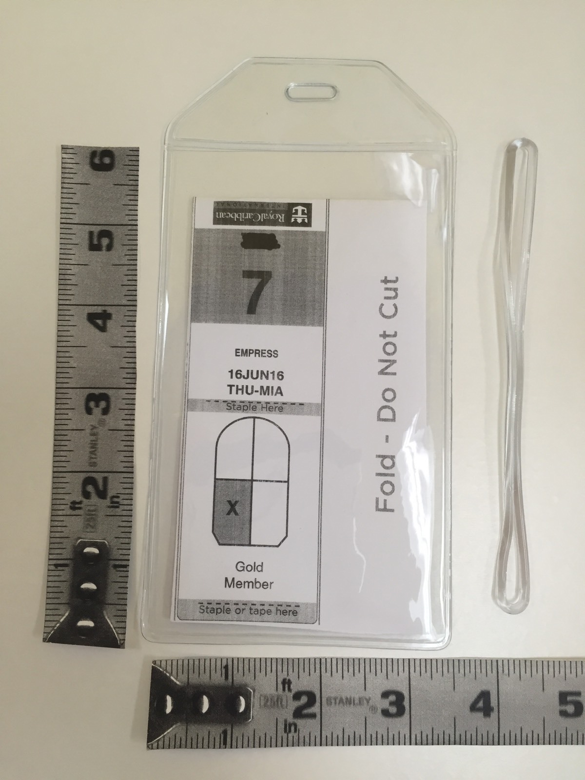 2 Cruise Luggage Tag Holder NCL, Carnival, Princess, Holland America eBay