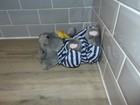 Bild 9 von 17
