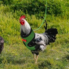 Adjustable Chicken Harness with Leash for Hens Roosters Ducks Geese Small Pets  