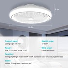 Bild 52 von 80