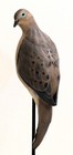 Life Size BRAD FALKINBURG VERTICAL MOURNING DOVE CARVING Wood Bird Sculpture  — photo 3