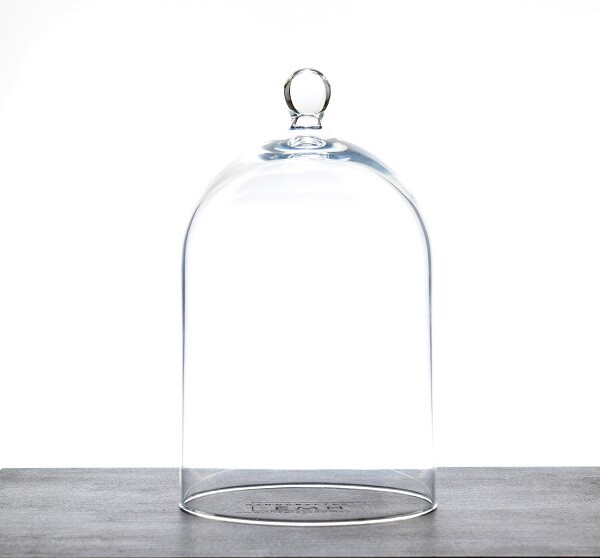 Glass Dome Display Cloche With Knob H:17.5 cm x D:10.5 cm